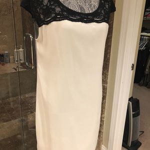 Express Dress Size Large